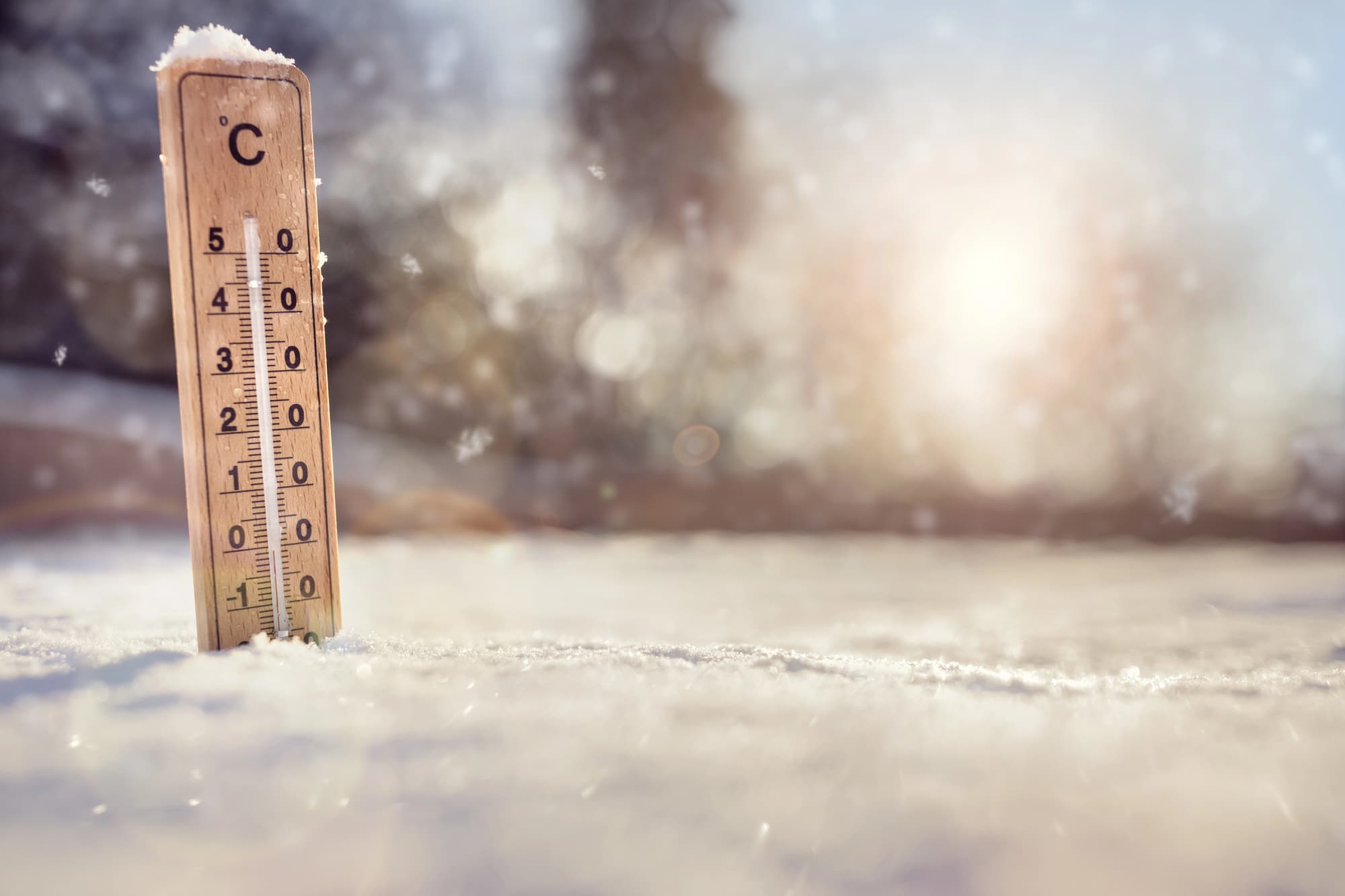 thermometer in the snow